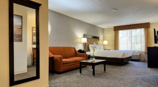 Renovated king guest room at the Best Western Escondido Hotel featuring a king bed, loveseat, coffee table, and updated finishes.